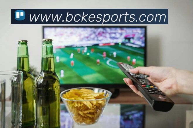 多媒体互动体验